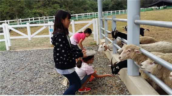 홍천 숲속 동키마을 25일 개장, 재활용 분류시설이 숲 속 동물체험장으로 변신