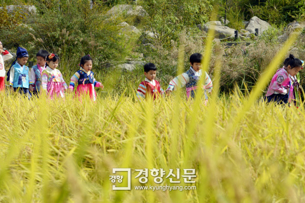 [경향포토]논두렁 지나는 아가들