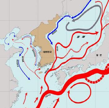 한반도 주변 해류도 국내 첫 완성