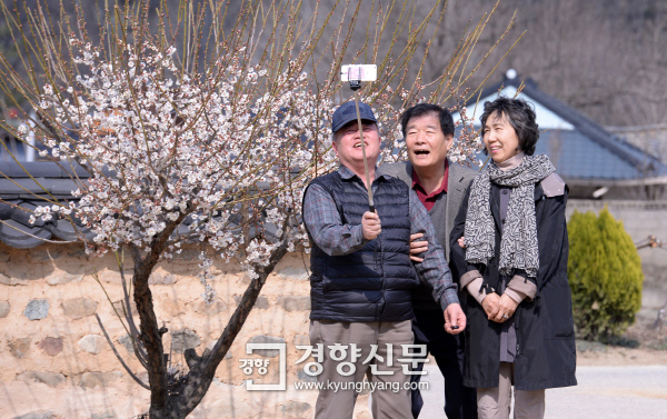 (4) 소설 ‘객주’ 속 옛 보부상과 함께 거닐 듯…유쾌했던 ‘청송 소풍’