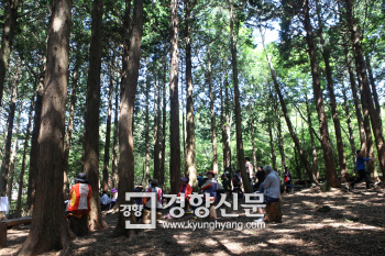 제주 서귀포시에 ‘치유의 숲’ 문 열다