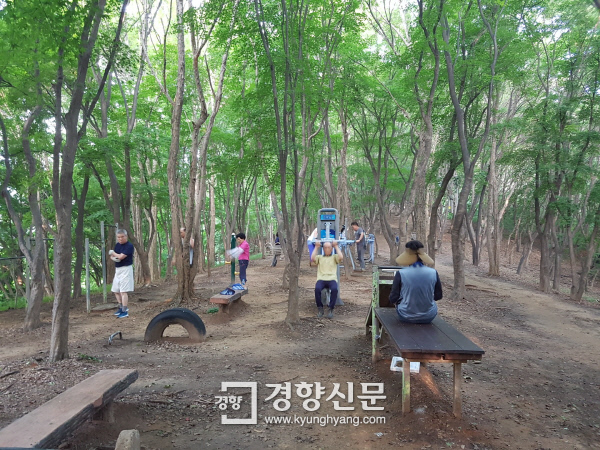 전주 건지산에서 가장 무서운 것은 공포의 모기떼