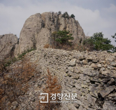 [이기환의 흔적의 역사] 주류성이 항복했구나! 백제의 이름이 끊겼구나!