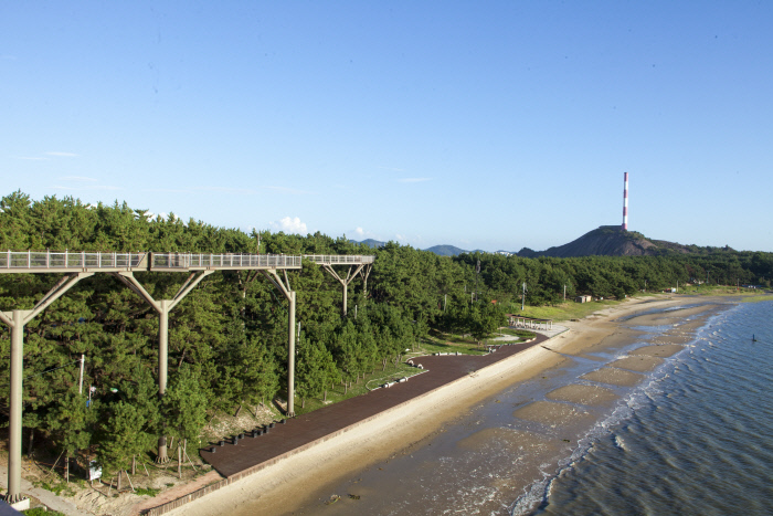 서천군 송림산림욕장 일대, 휴양·체험관광 거점 만든다
