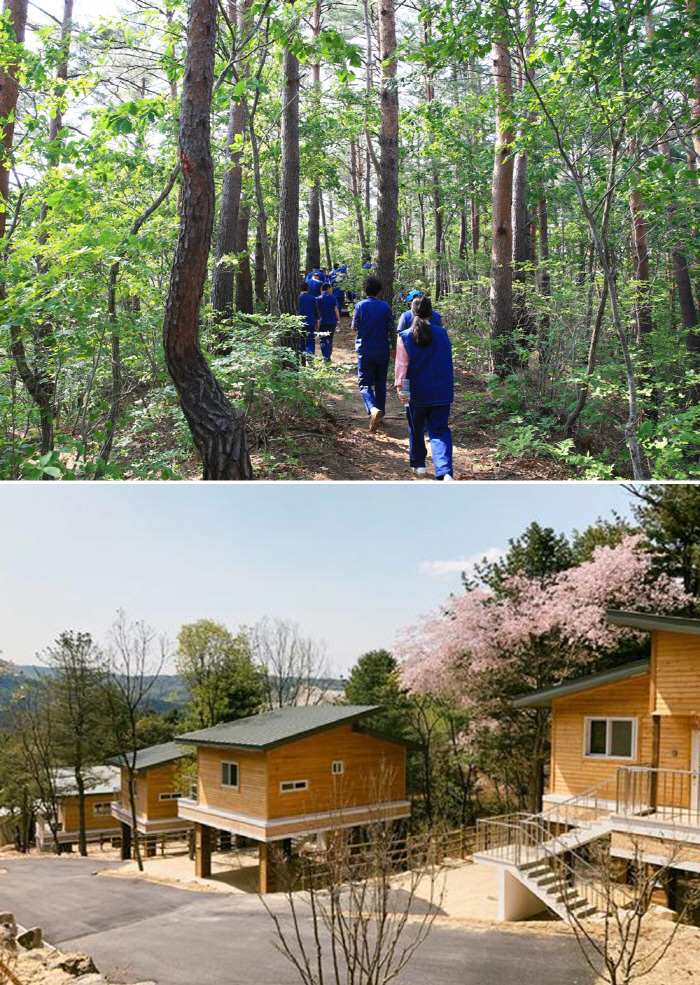 올 여름휴가, 명품 숲속에서 ‘힐링’ 어때요