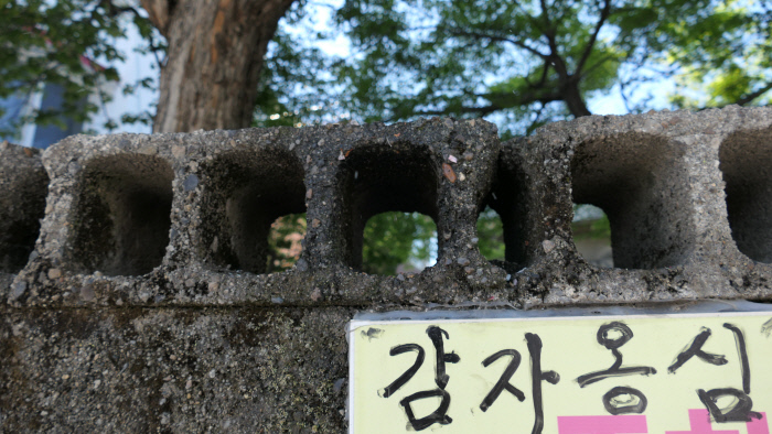 녹슨 간판·금 간 담벼락…강릉의 공기에 더해진 세월의 맛