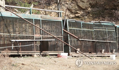 용인 농장 탈출 곰 5마리 중 2마리 생포·2마리 사살…1마리 추적 중