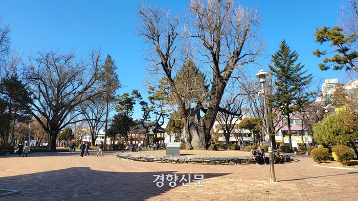 ‘일타 스캔들’의 반찬가게도, ‘더글로리’의 은행나무도 이곳?[현장에서]