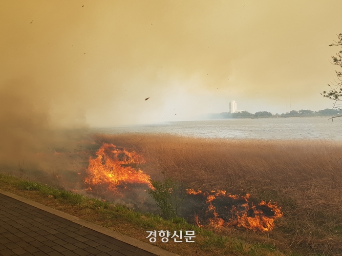 관광지 경포 일원 화마에 쑥대밭···해변가 송림도 불타[산불 현장]