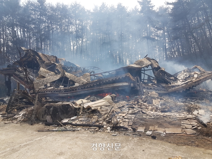 관광지 경포 일원 화마에 쑥대밭···해변가 송림도 불타[산불 현장]