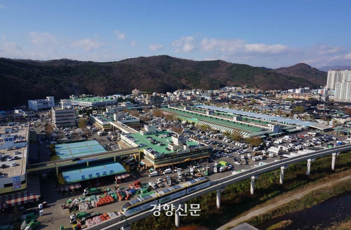 대구, ‘대구농수산물유통관리공사’ 설립…농수산시장 개장 36년만