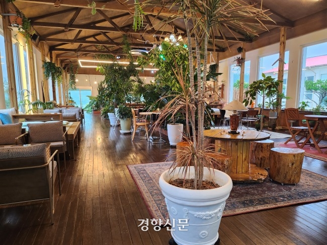 ‘개인 창업 붐’ 카페·제과점·음식점 상표 출원 증가…반도체·이차전지 특허 출원도 늘어나
