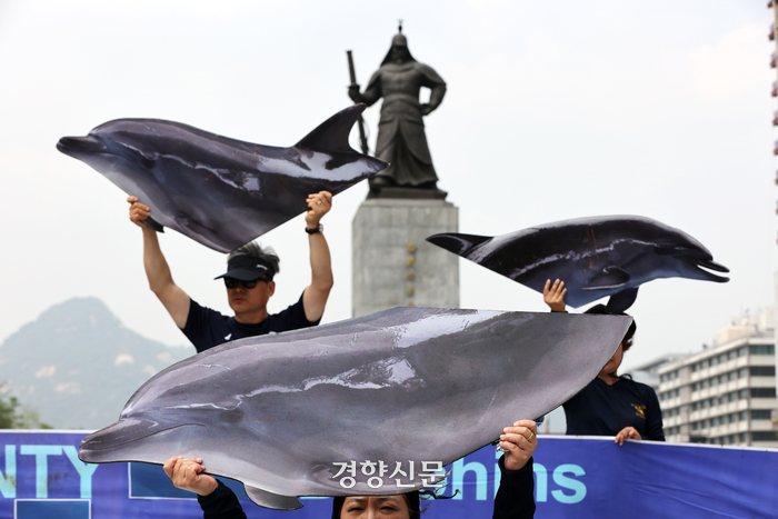 “수족관 돌고래를 바다로”[정동길 옆 사진관]