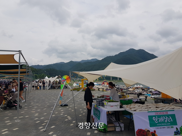인제 더워지면 언제 축제 여나…겨울 빙어 낚시 대신 초여름 캠핑