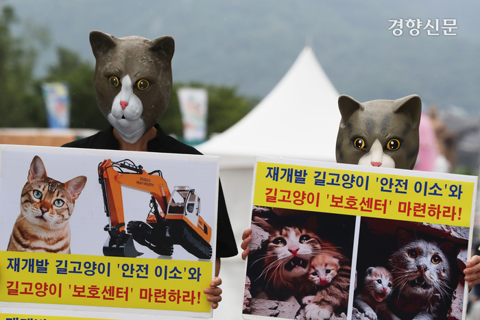 ‘세계 고양이의 날’ 고양이에게 안전한 세상을[정동길 옆 사진관]