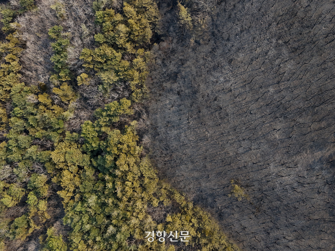 이틀 째 잡히지 않는 산불 [현장 화보]