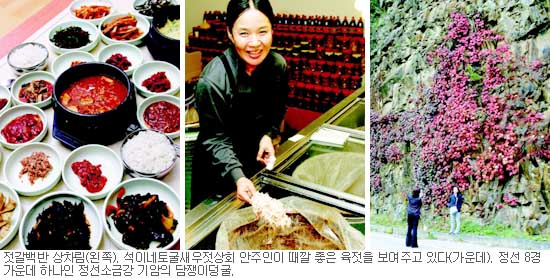 오서산과 민둥산