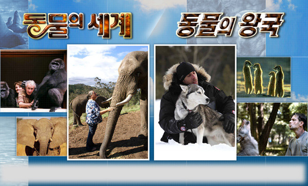 동물의 왕국