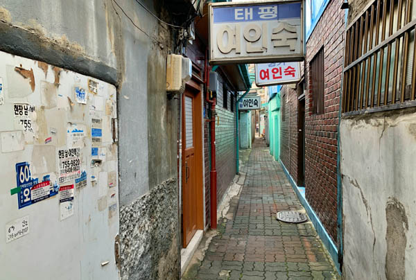 [골목내시경]청량리시장 골목-청과·양곡·수산물… ‘없는 게 없는 시장’