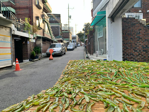 [골목 내시경]신길동 골목-힘겹고 고단한 노동자들의 삶이 깃들다