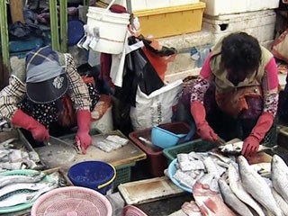 대목 앞둔 부산 자갈치시장!