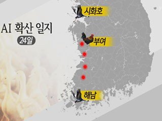초동방역 실패 AI 확산 일지
