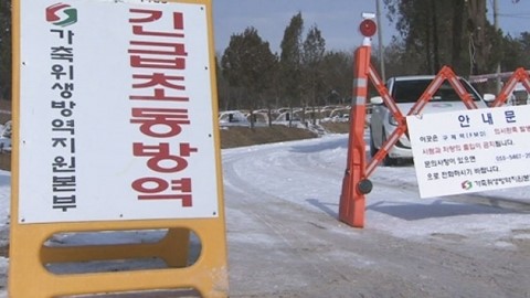 충북 진천에서 돼지 구제역 발생