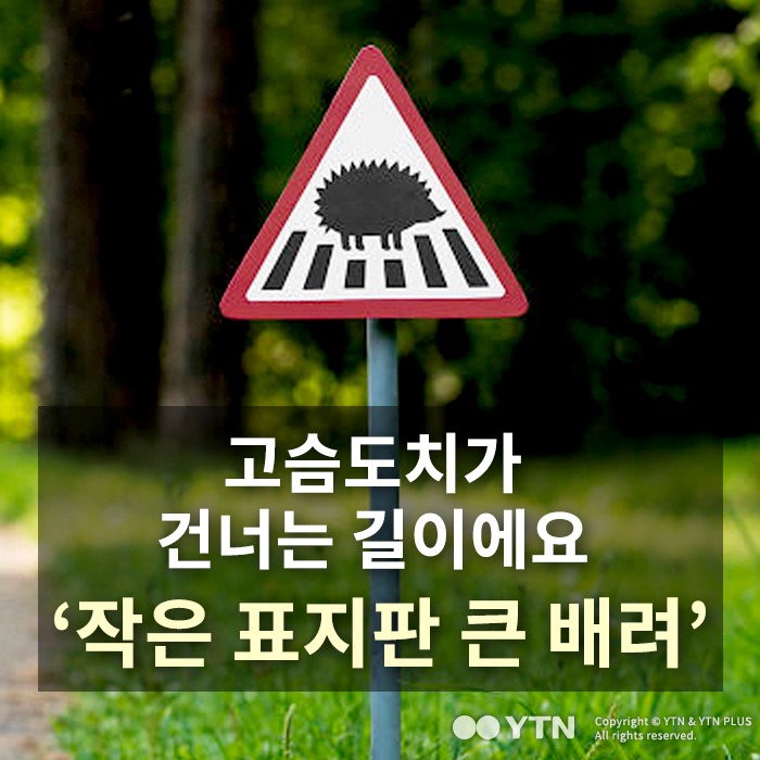 [한컷뉴스] 고슴도치 길이에요 작은 표지판 큰 배려