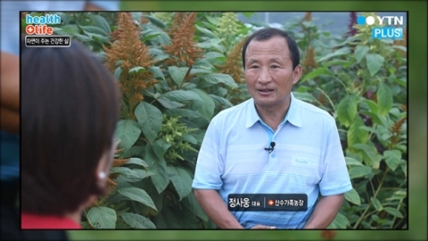 내 몸에 맞는 자연 약초로 건강 지키기