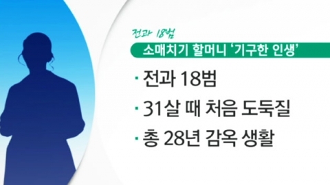 전과18범 70대 소매치기, 또 쇠고랑