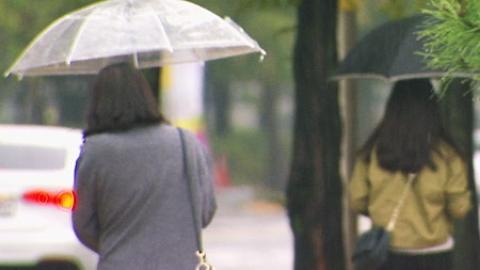 제한급수 지역에 단비…해갈에는 역부족