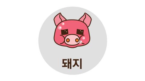 [오늘의 운세] 2015년 10월 28일 돼지띠
