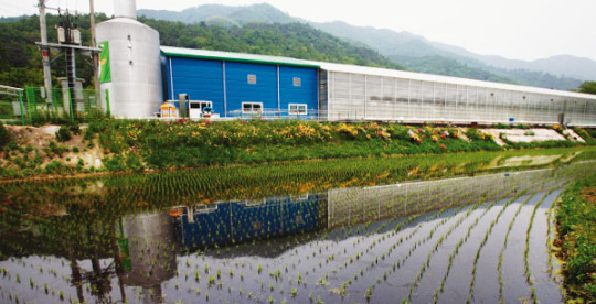 [ENVIRONMENT] 녹색성장 클린 에너지 ‘축산분뇨’