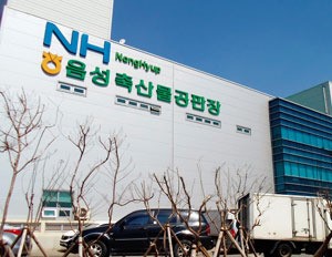 [경제] 우린 ‘축산물 유통혁신’으로 간다