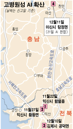 아산 오리농장서도 AI (조류 인플루엔자)