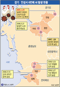 안성서 6번째 고병원성 AI 발생