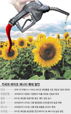 바이오에너지, 아직도 먼 그대
