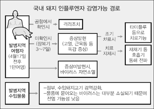 [돼지 인플루엔자 비상] 여행·양돈업계·의료계… 비상등
