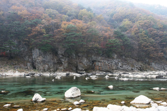 늦은 가을 낙엽 밟는 소리에 동강도, 바람도, 숨이 멎다