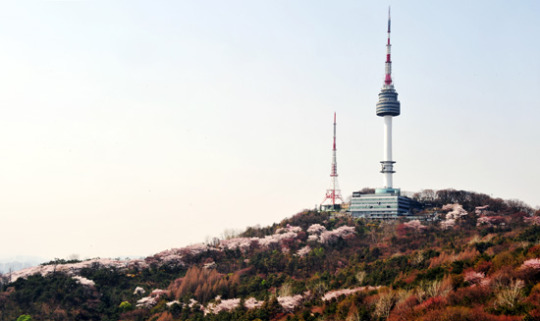 [포토&스토리] 가깝고도 먼 그곳 남산 숨겨진 사연도 많네