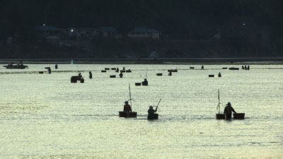 진안 오미자·하동 재첩… 섬진강이 준 선물