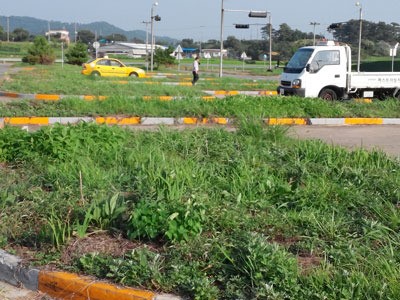 자동차운전학원 연쇄 도산 위기