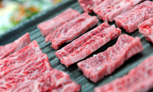 Carnivore’s paradise