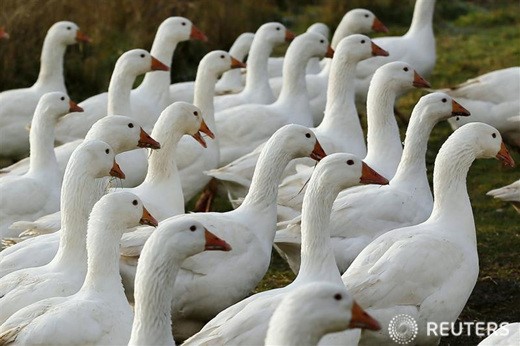 만든곳: 한국 네티즌본부 카페