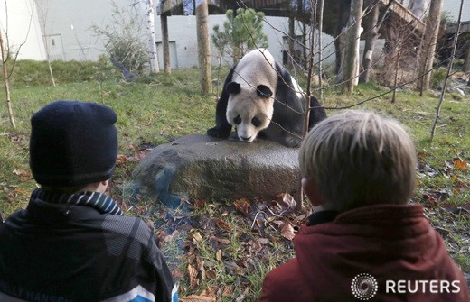 사진이 안보일 때→우측클릭→'사진보기' 클릭, OK. ☞작성: Daum카페: 한국 네티즌본부