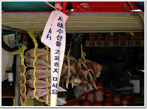 서해 수산물 기피하지 마세요