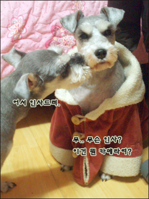 옥탑방 탈출의 마지막 결전, 가드 올리고!