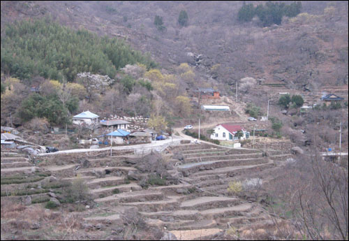 지리산 문수골 화가부부 숲속 생활 엿보기