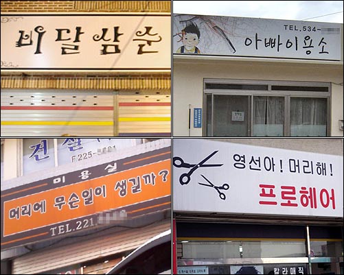 닭터 지바고가 비달삼순에서 머리하다