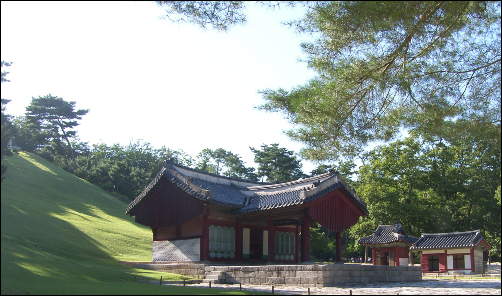 음지에서 양지로 100m 나오는데 600년